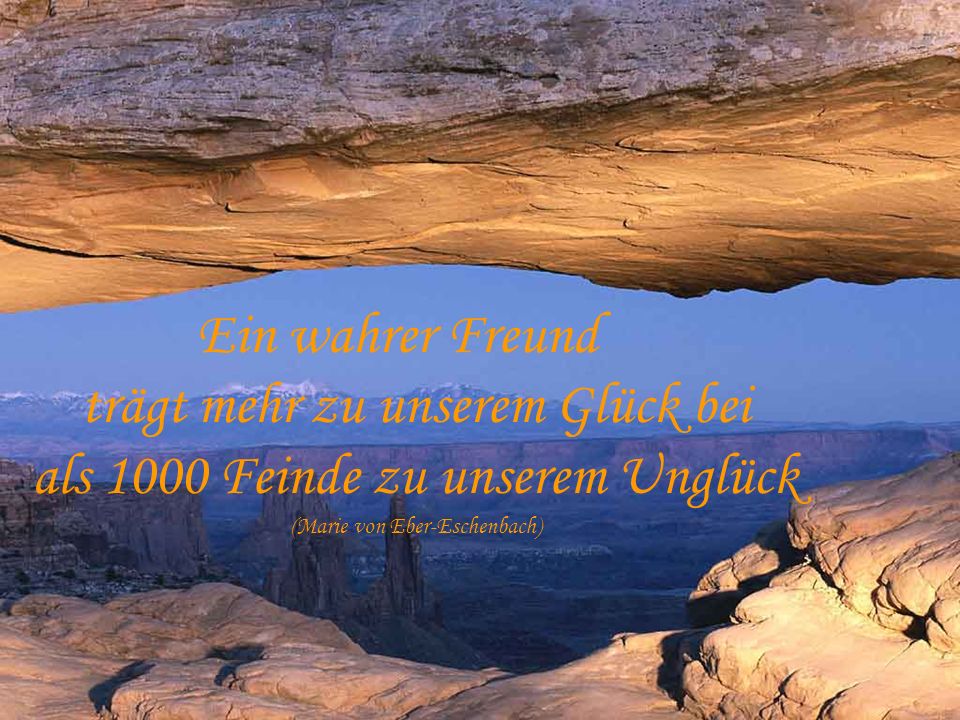 Ein wahrer Freund trägt mehr zu unserem Glück bei als 1000 Feinde zu unserem Unglück (Marie von Eber-Eschenbach)