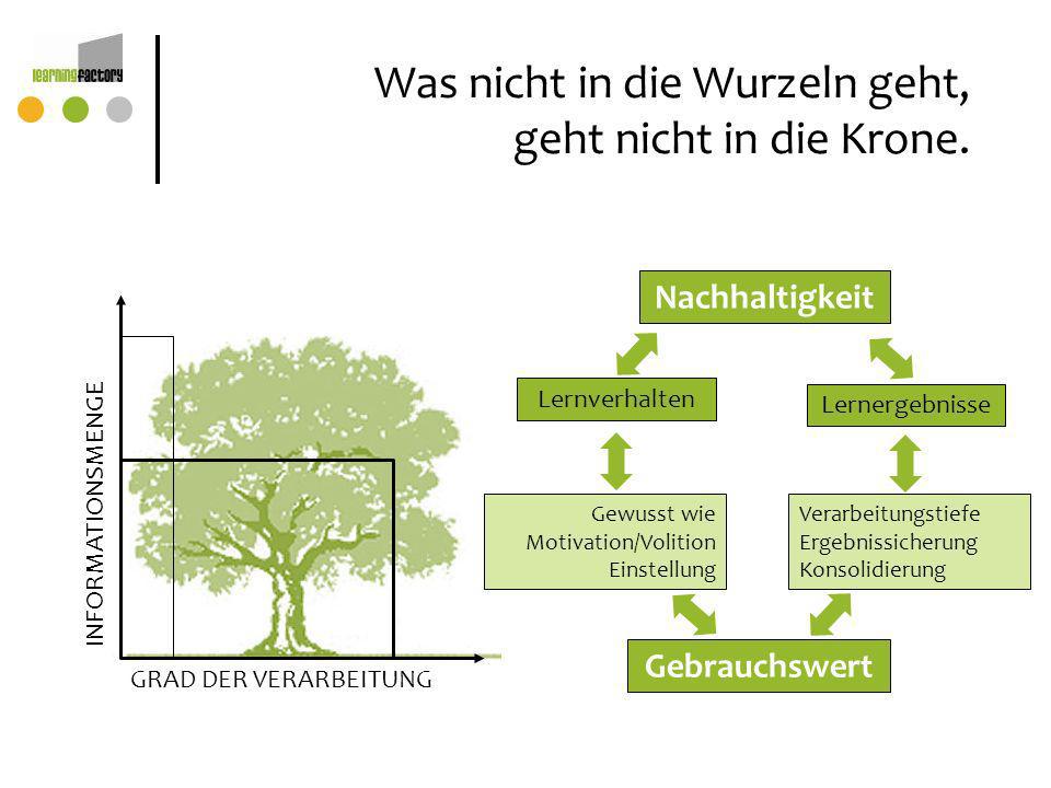 Was nicht in die Wurzeln geht, geht nicht in die Krone.