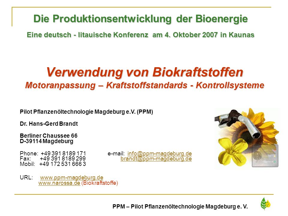 Die Produktionsentwicklung der Bioenergie