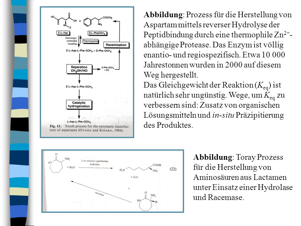 Abbildung: Prozess für die Herstellung von Aspartam mittels reverser Hydrolyse der Peptidbindung durch eine thermophile Zn2+-abhängige Protease. Das Enzym ist völlig enantio- und regiospezifisch. Etwa Jahrestonnen wurden in 2000 auf diesem Weg hergestellt.