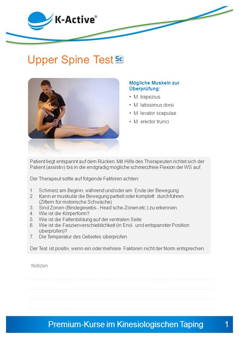 Upper Spine Test 1 Mögliche Muskeln zur Überprüfung: M. trapezius