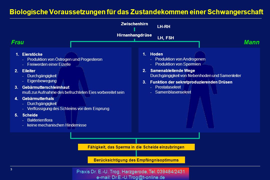 Biologische Voraussetzungen für das Zustandekommen einer Schwangerschaft