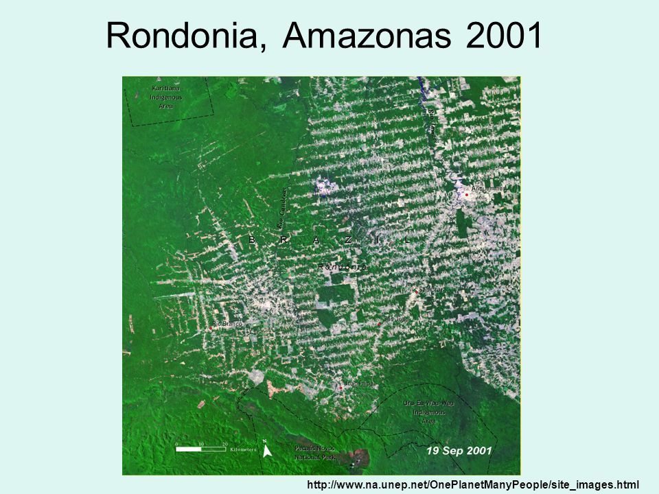 Rondonia, Amazonas