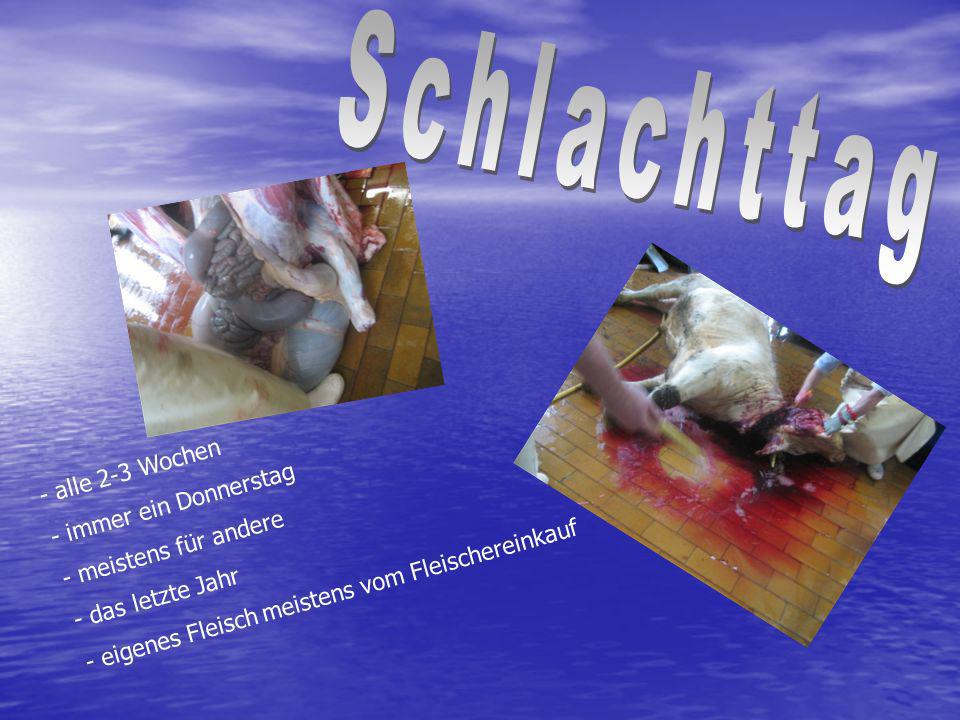 Schlachttag alle 2-3 Wochen immer ein Donnerstag meistens für andere