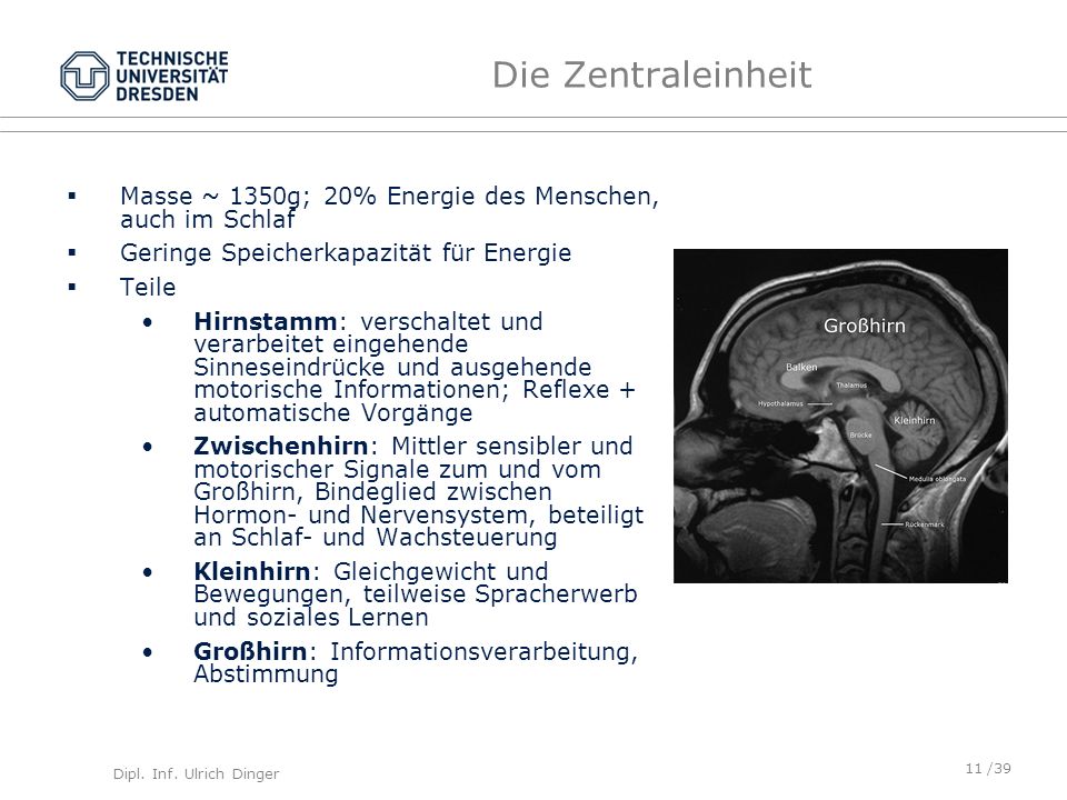Die Zentraleinheit Masse ~ 1350g; 20% Energie des Menschen, auch im Schlaf. Geringe Speicherkapazität für Energie.