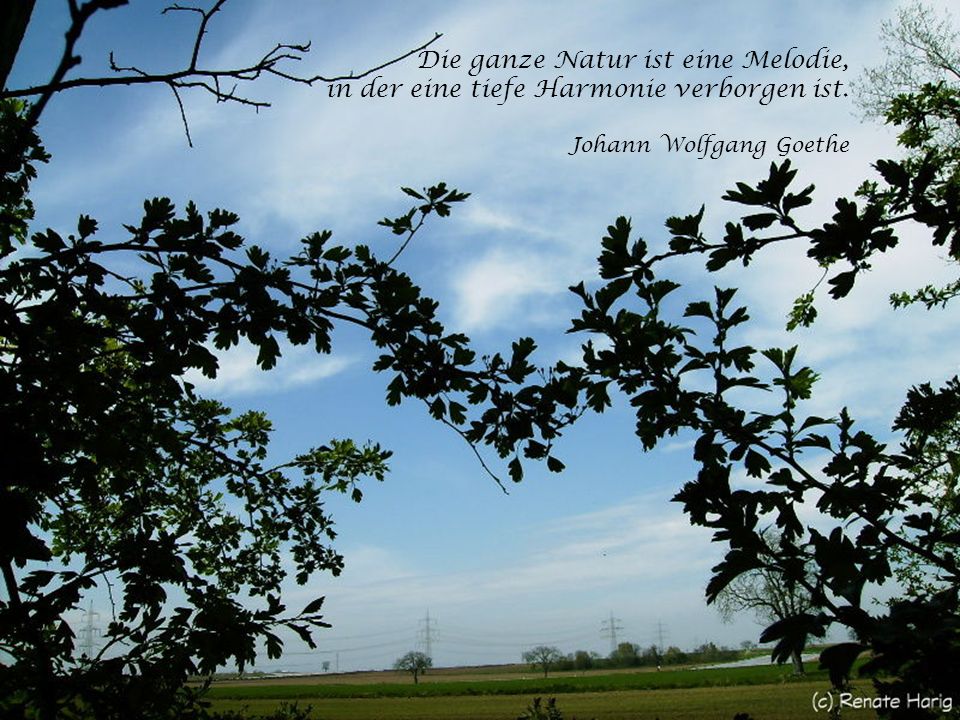 Die ganze Natur ist eine Melodie, in der eine tiefe Harmonie verborgen ist. Johann Wolfgang Goethe