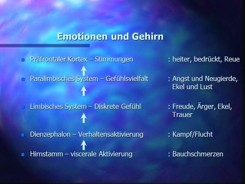 Emotionen und Gehirn Präfrontaler Kortex – Stimmungen : heiter, bedrückt, Reue.