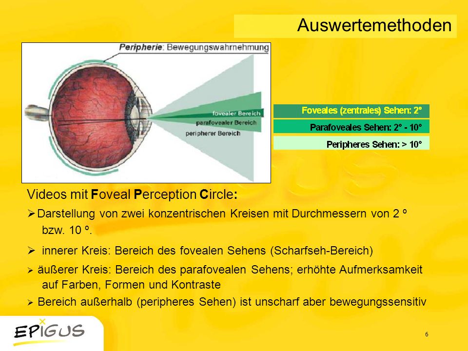 Auswertemethoden Videos mit Foveal Perception Circle: Darstellung von zwei konzentrischen Kreisen mit Durchmessern von 2 º bzw. 10 º.