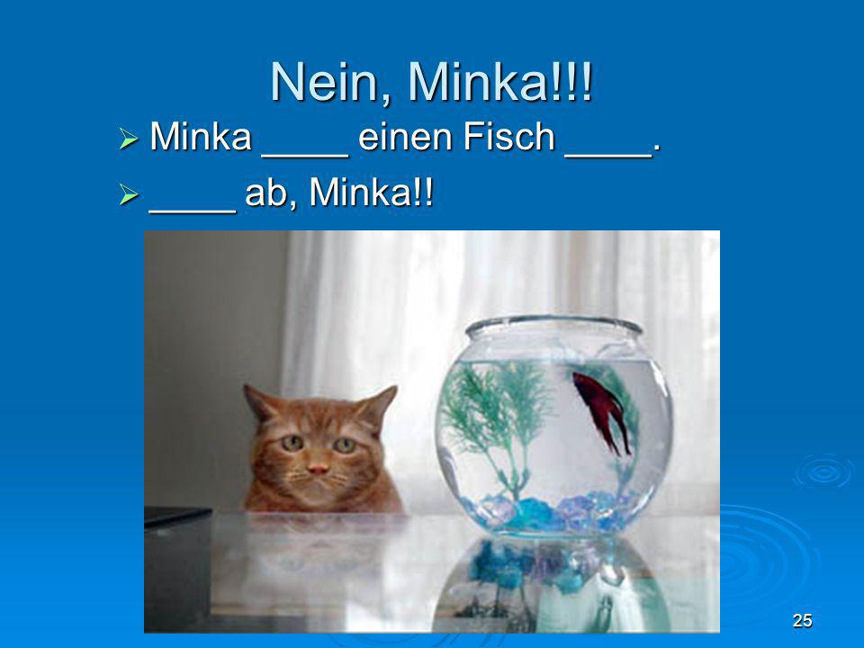 Nein, Minka!!! Minka ____ einen Fisch ____. ____ ab, Minka!!