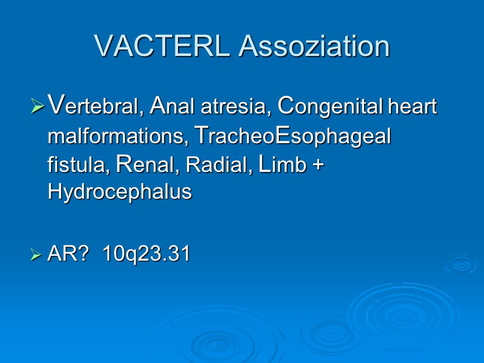 VACTERL Assoziation Vertebral, Anal atresia, Congenital heart malformations, TracheoEsophageal fistula, Renal, Radial, Limb + Hydrocephalus.