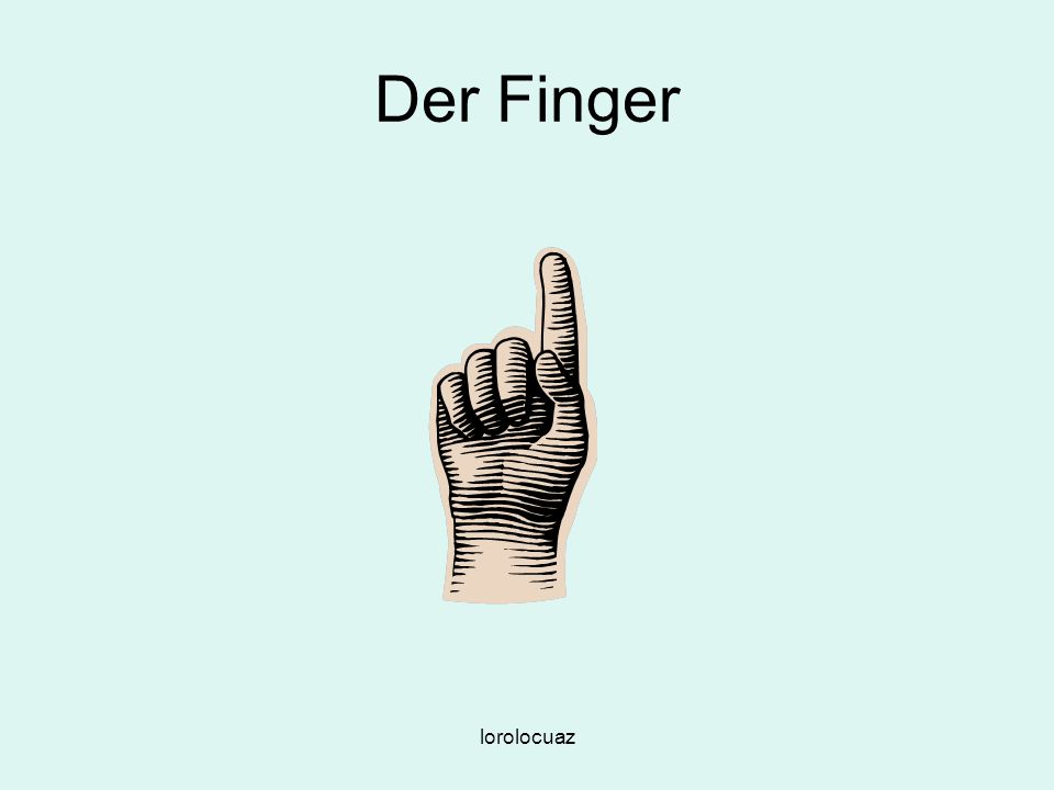 Der Finger lorolocuaz