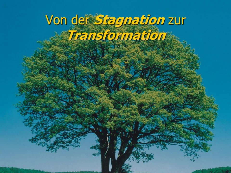 Von der Stagnation zur Transformation