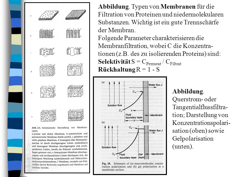 Abbildung. Typen von Membranen für die Filtration von Proteinen und niedermolekularen Substanzen. Wichtig ist ein gute Trennschärfe der Membran.