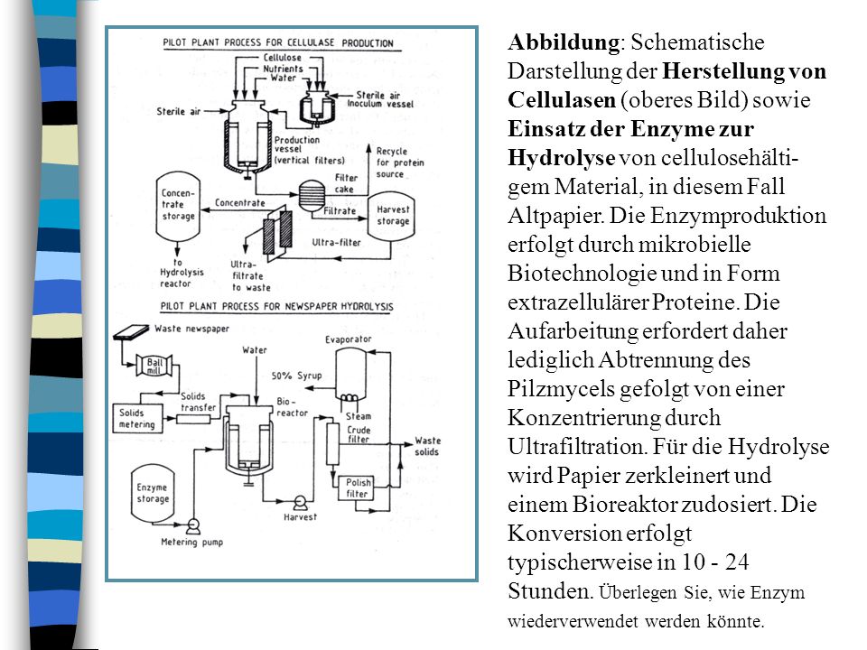 Abbildung: Schematische Darstellung der Herstellung von Cellulasen (oberes Bild) sowie Einsatz der Enzyme zur Hydrolyse von cellulosehälti-gem Material, in diesem Fall Altpapier.