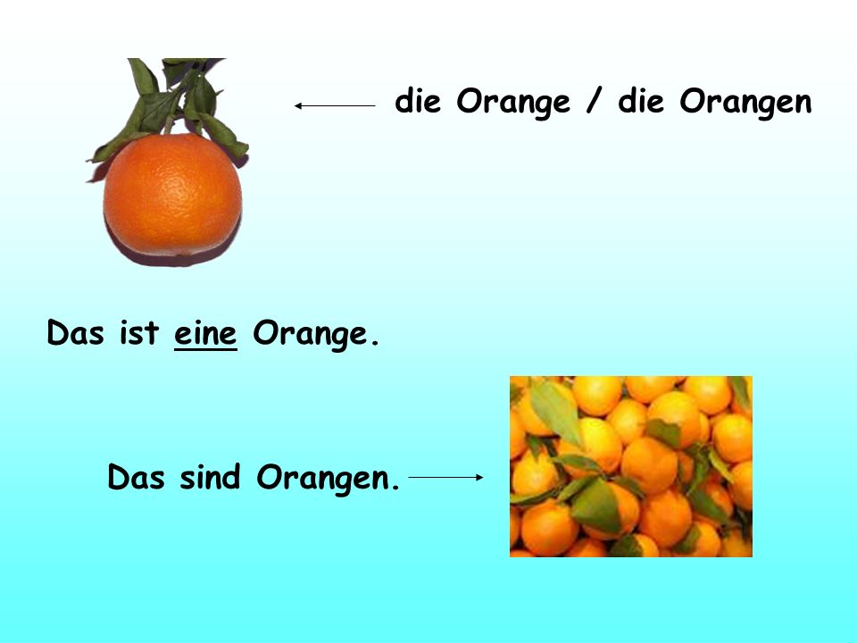 die Orange / die Orangen