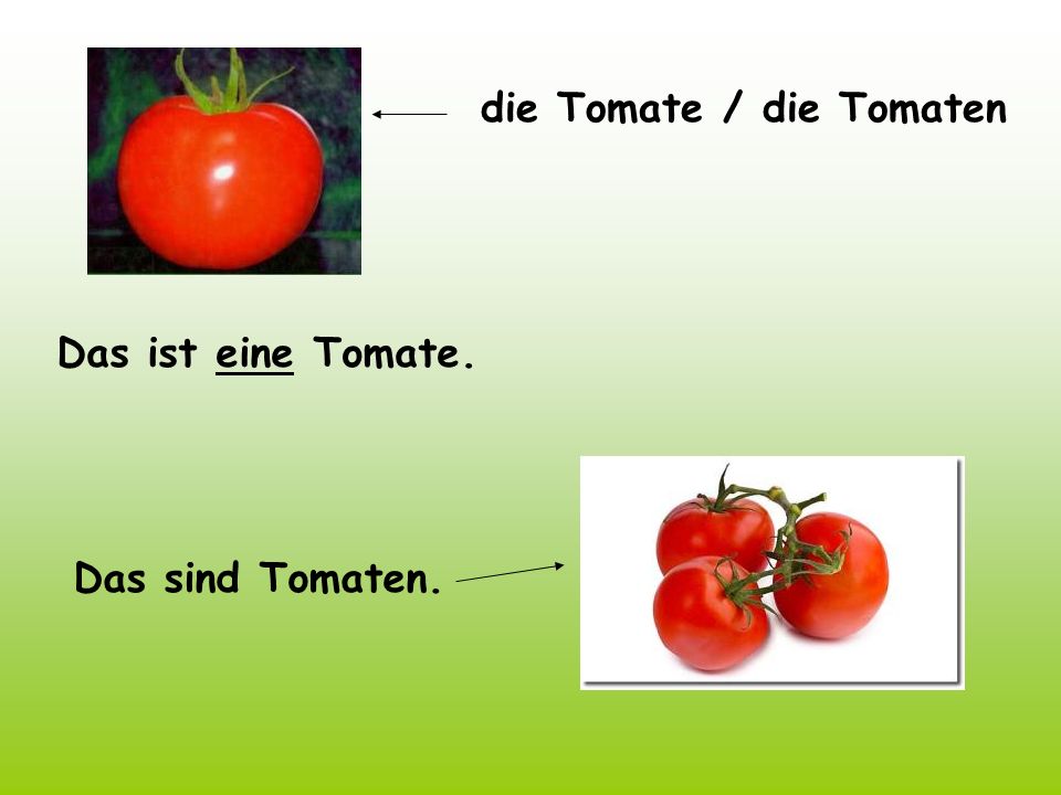 die Tomate / die Tomaten