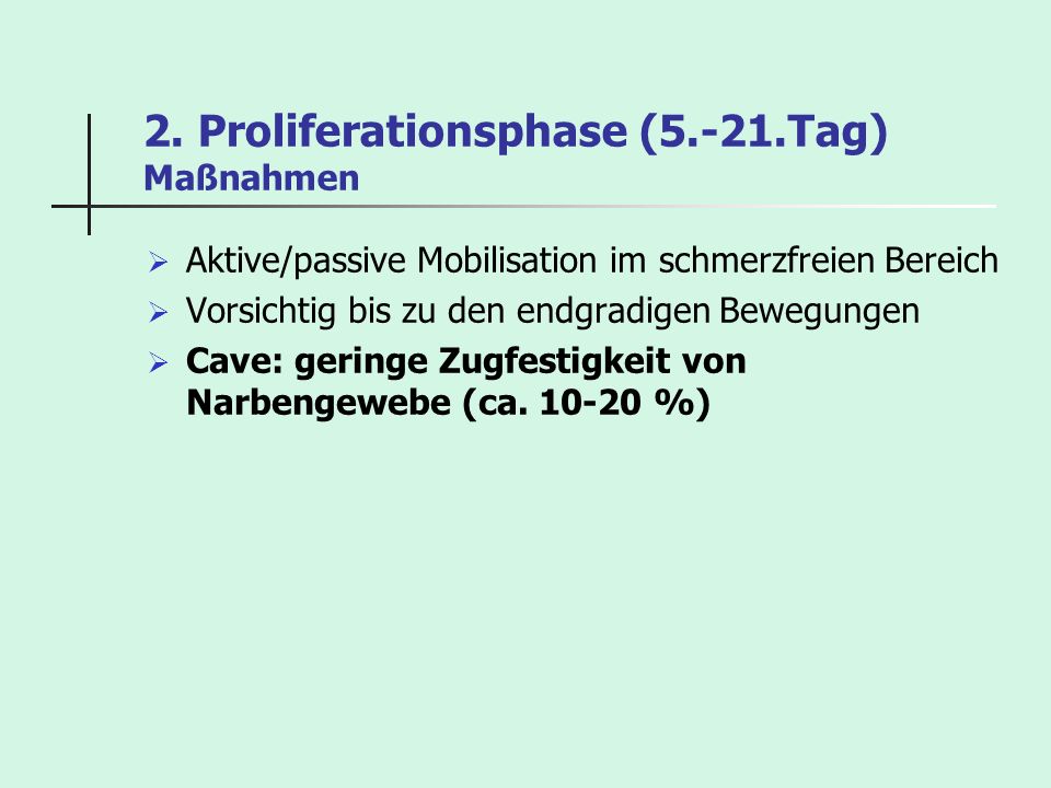 2. Proliferationsphase (5.-21.Tag) Maßnahmen