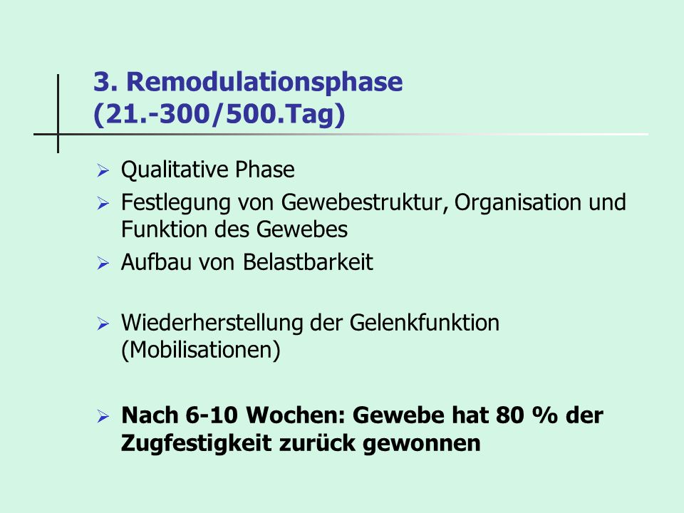 3. Remodulationsphase ( /500.Tag)