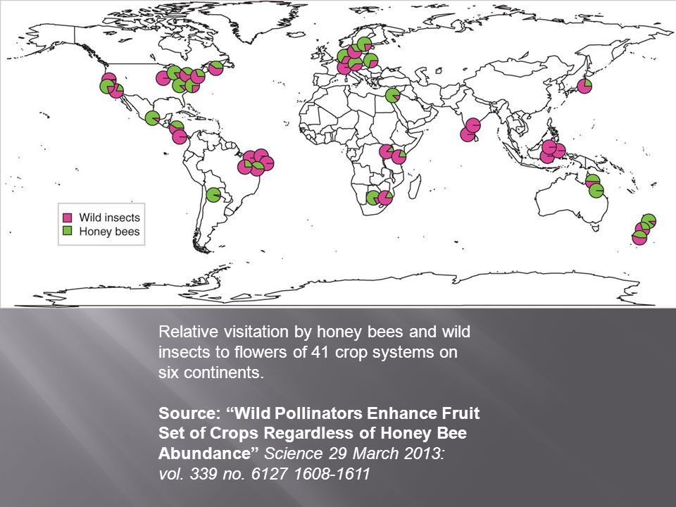 Relative visitation by honey bees and wild insects to flowers of 41 crop systems on six continents.