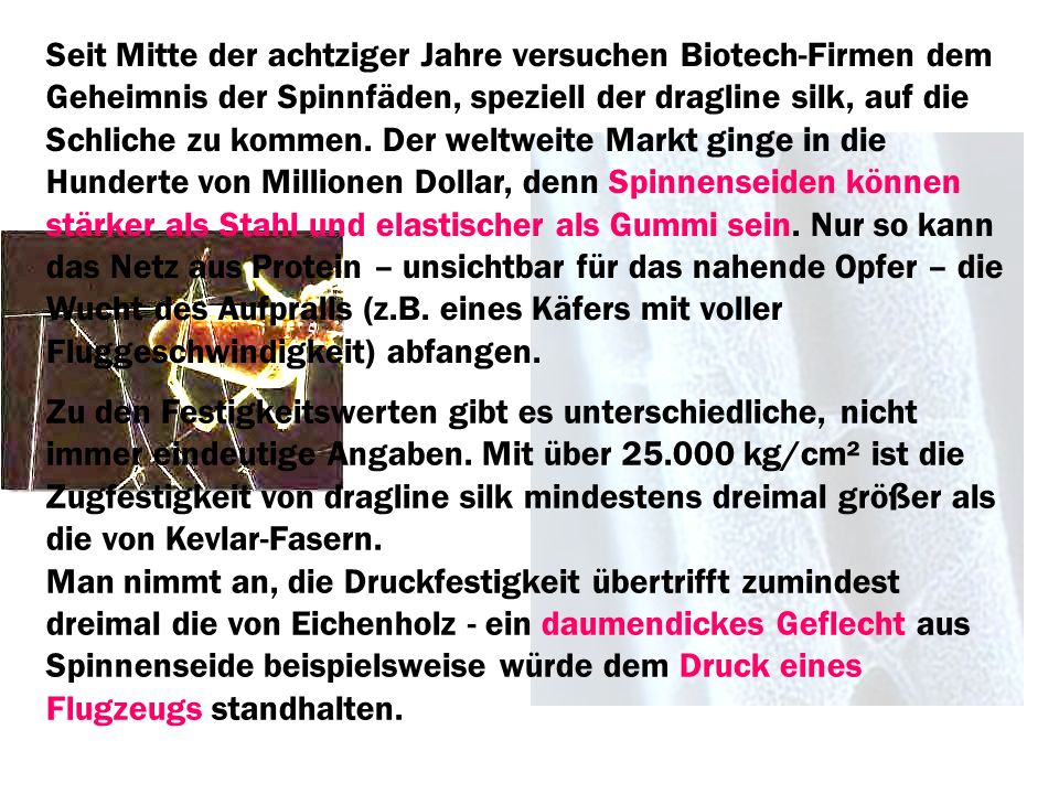 Seit Mitte der achtziger Jahre versuchen Biotech-Firmen dem Geheimnis der Spinnfäden, speziell der dragline silk, auf die Schliche zu kommen. Der weltweite Markt ginge in die Hunderte von Millionen Dollar, denn Spinnenseiden können stärker als Stahl und elastischer als Gummi sein. Nur so kann das Netz aus Protein – unsichtbar für das nahende Opfer – die Wucht des Aufpralls (z.B. eines Käfers mit voller Fluggeschwindigkeit) abfangen.