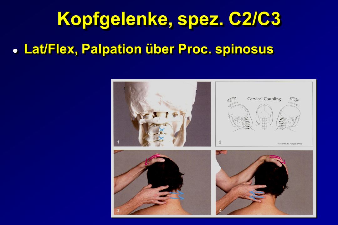 Kopfgelenke, spez. C2/C3 Lat/Flex, Palpation über Proc. spinosus