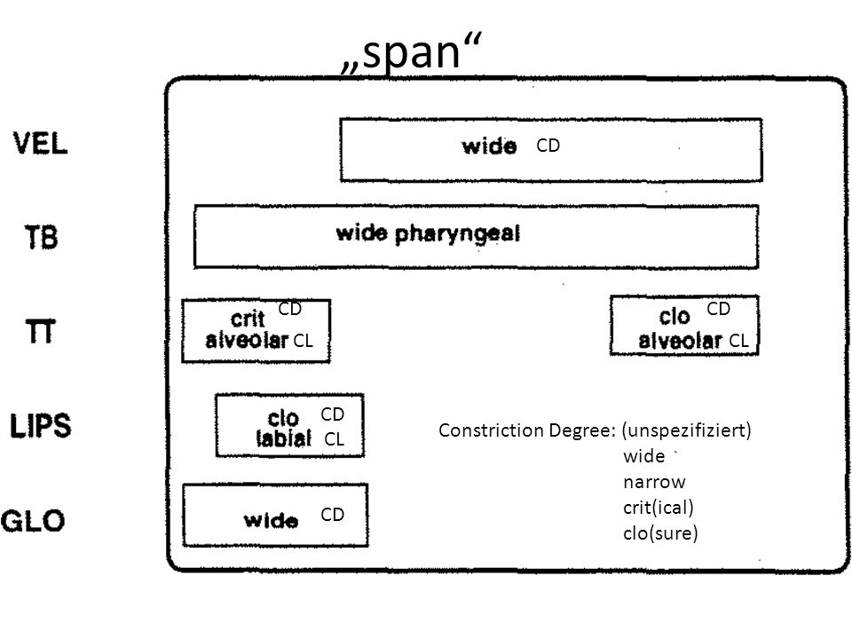 „span CD CD CD CL CL CD Constriction Degree: (unspezifiziert) wide