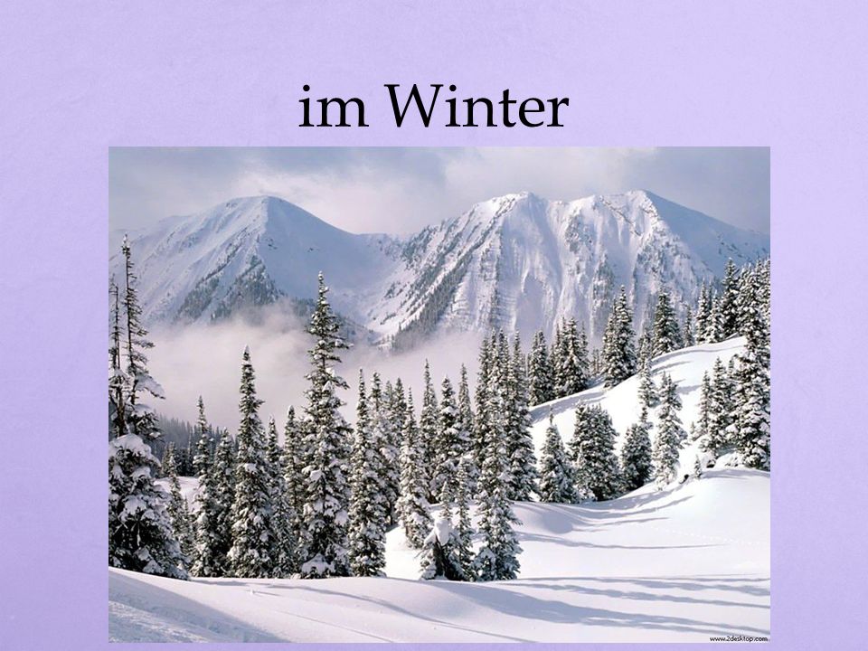 im Winter