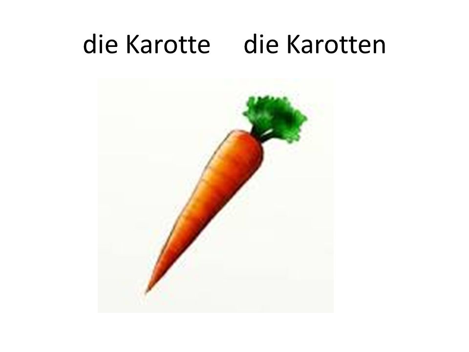 die Karotte die Karotten