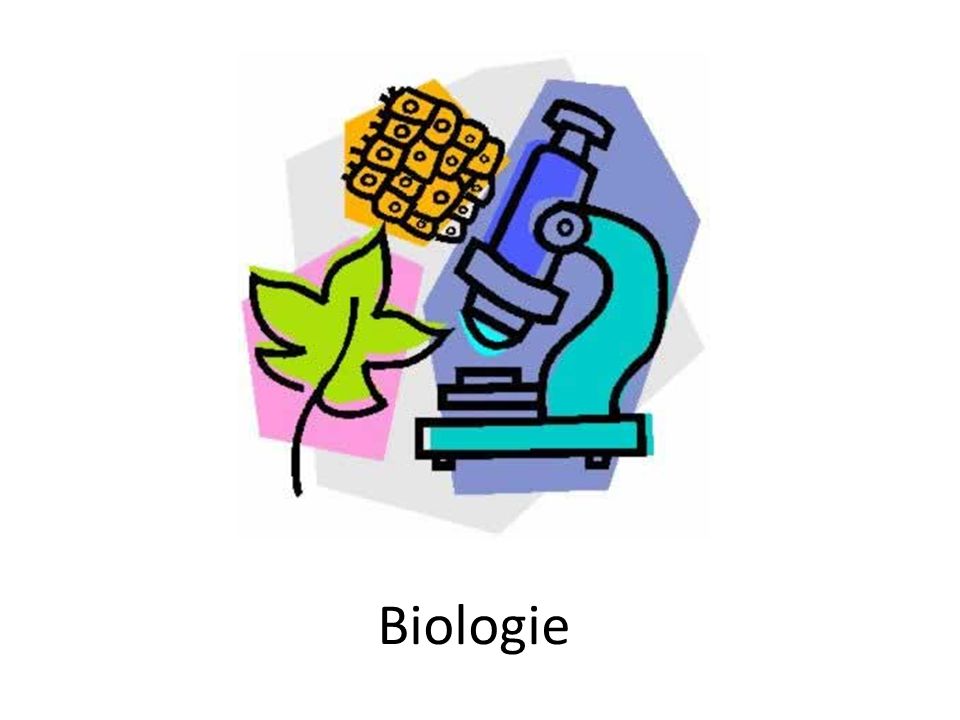 Biologie