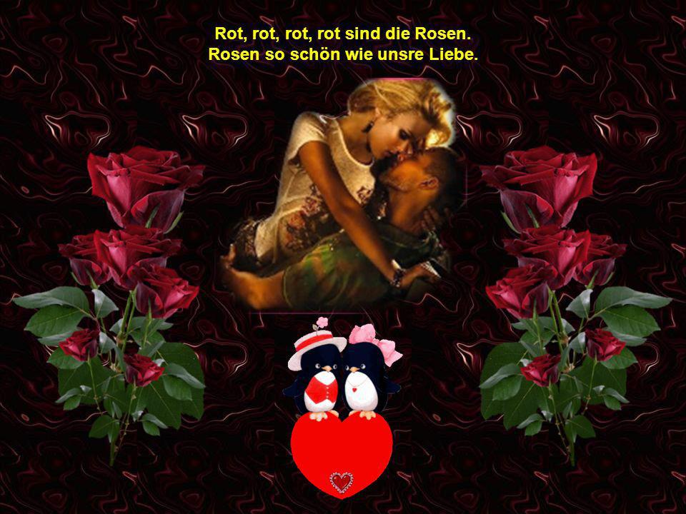 Rot, rot, rot, rot sind die Rosen. Rosen so schön wie unsre Liebe.