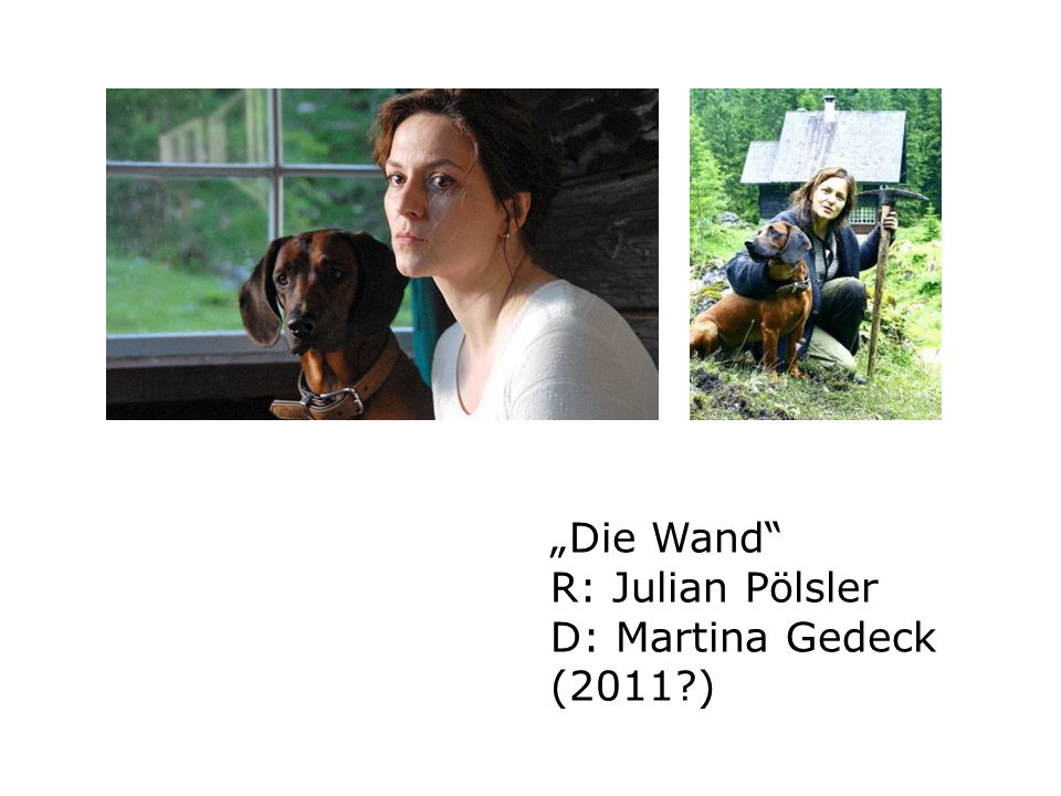 „Die Wand R: Julian Pölsler D: Martina Gedeck (2011 )