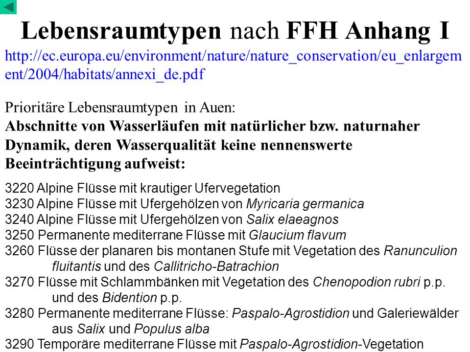 Lebensraumtypen nach FFH Anhang I