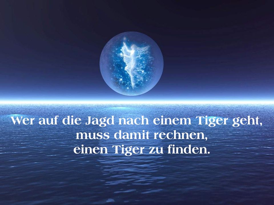 Wer auf die Jagd nach einem Tiger geht, muss damit rechnen, einen Tiger zu finden.