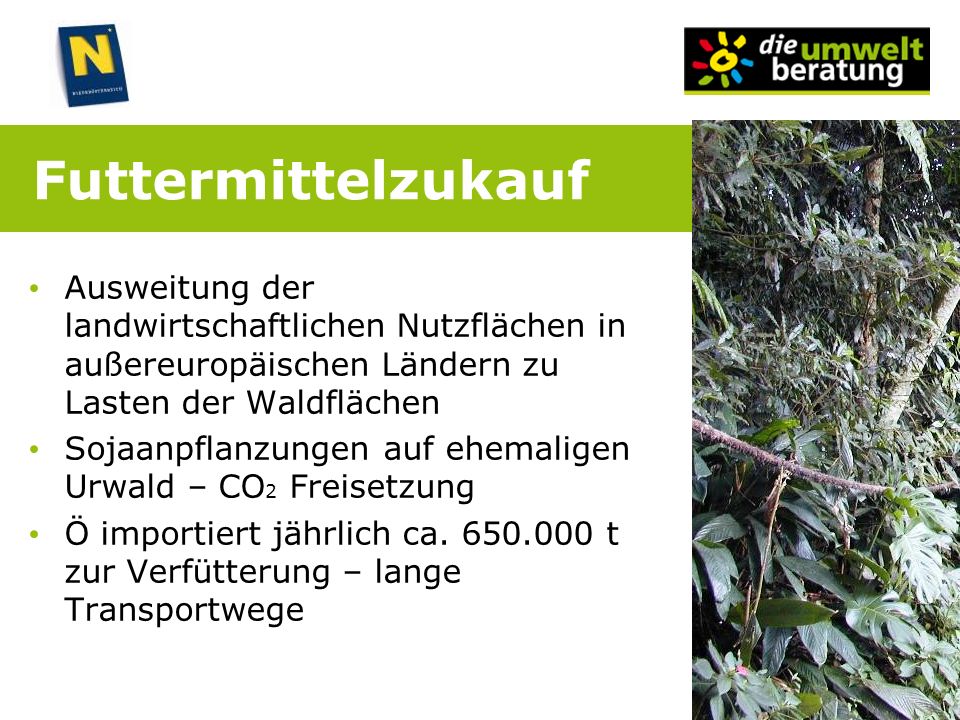 Futtermittelzukauf Ausweitung der landwirtschaftlichen Nutzflächen in außereuropäischen Ländern zu Lasten der Waldflächen.