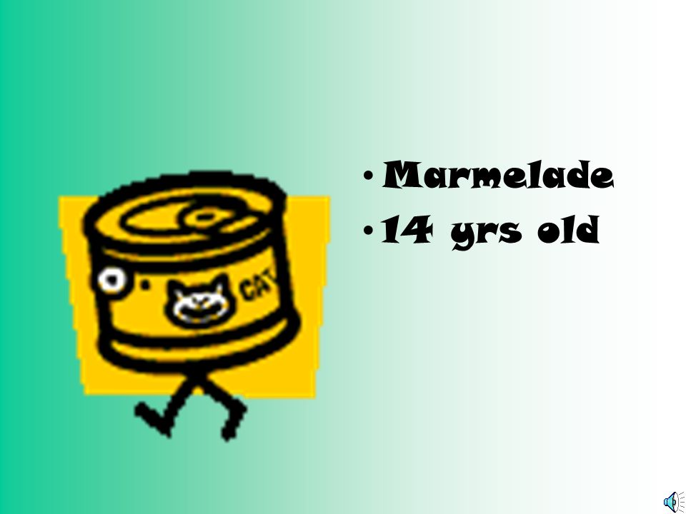 Marmelade 14 yrs old