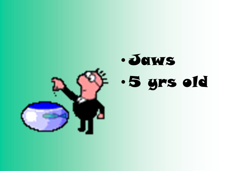 Jaws 5 yrs old