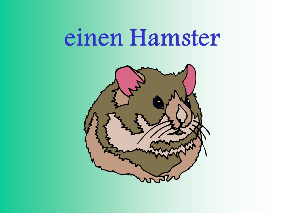 einen Hamster