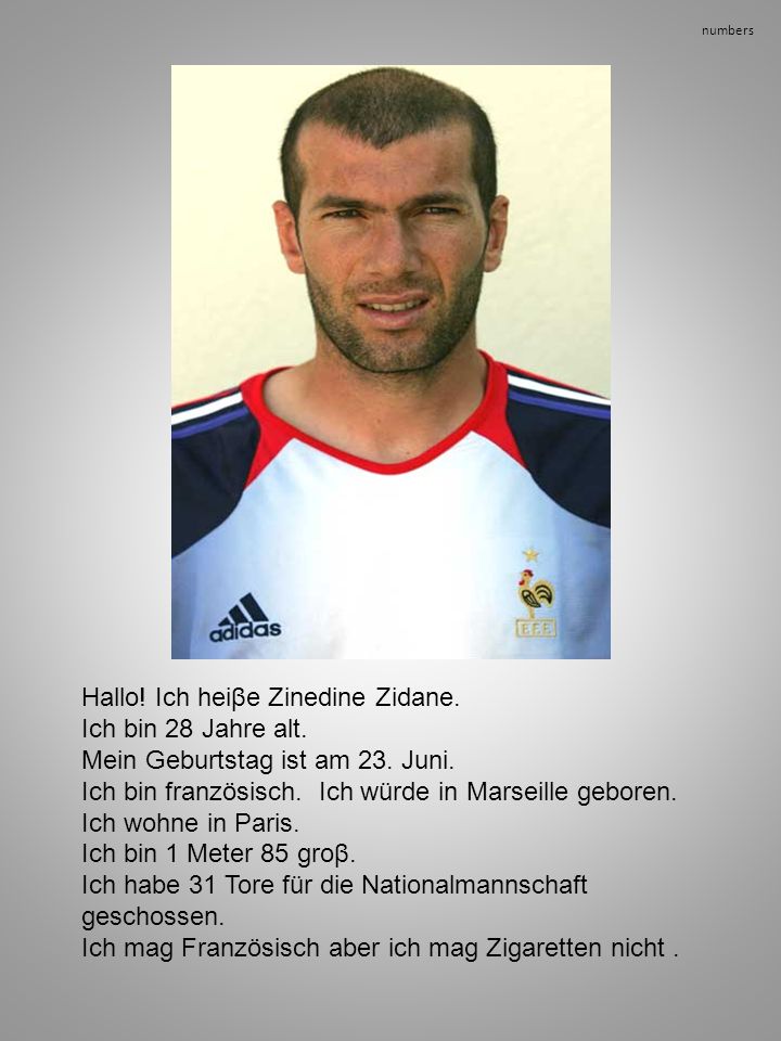 Hallo! Ich heiβe Zinedine Zidane. Ich bin 28 Jahre alt.