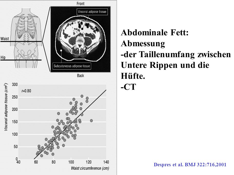 -der Taillenumfang zwischen Untere Rippen und die Hüfte. -CT