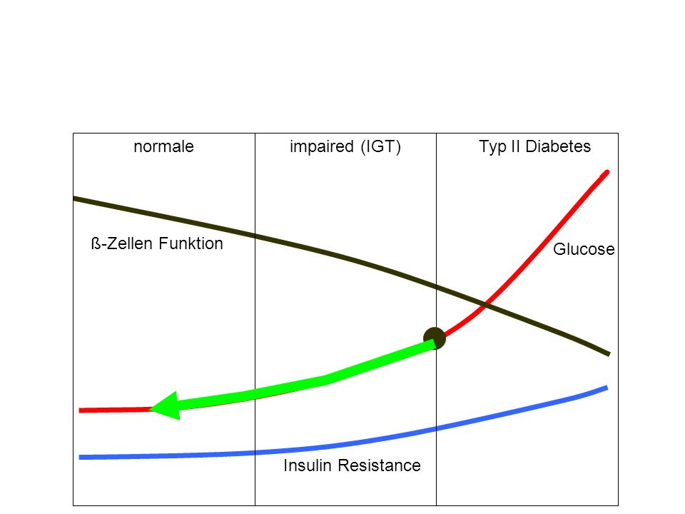 normale impaired (IGT) Typ II Diabetes ß-Zellen Funktion Glucose Insulin Resistance