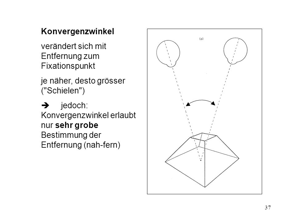 Konvergenzwinkel verändert sich mit Entfernung zum Fixationspunkt. je näher, desto grösser ( Schielen )