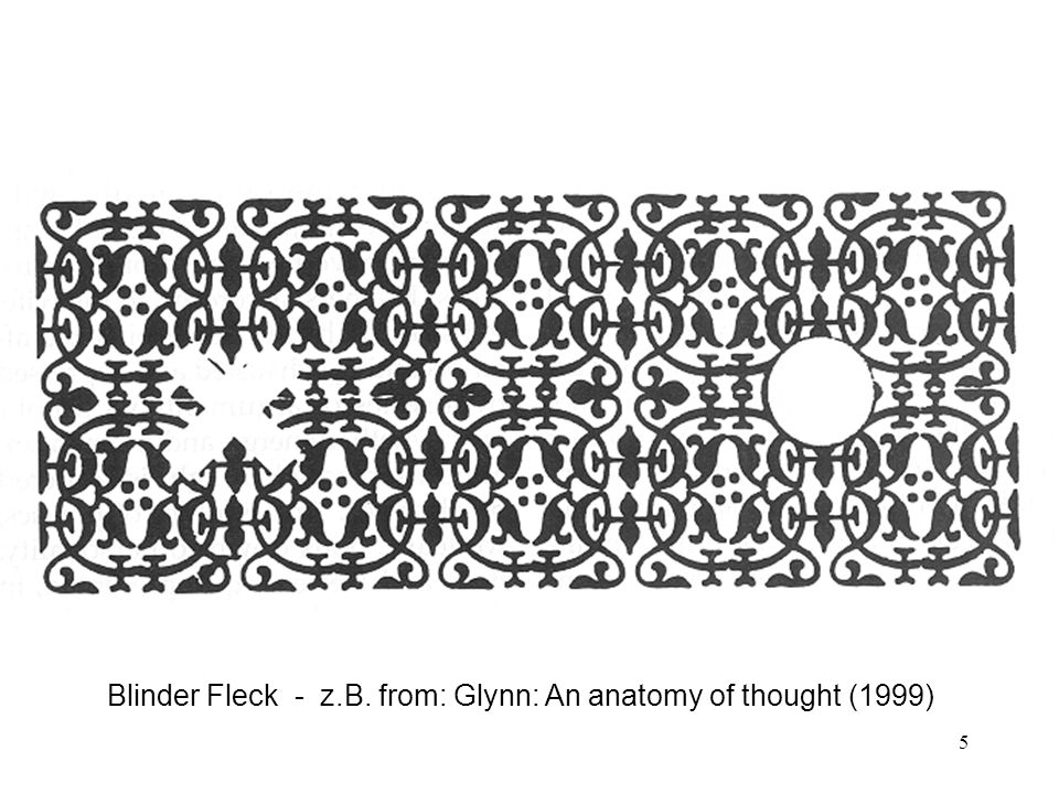 Blinder Fleck - z.B. from: Glynn: An anatomy of thought (1999)