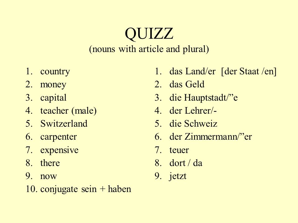 QUIZZ (nouns with article and plural)