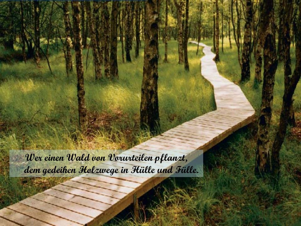 Wer einen Wald von Vorurteilen pflanzt, dem gedeihen Holzwege in Hülle und Fülle.