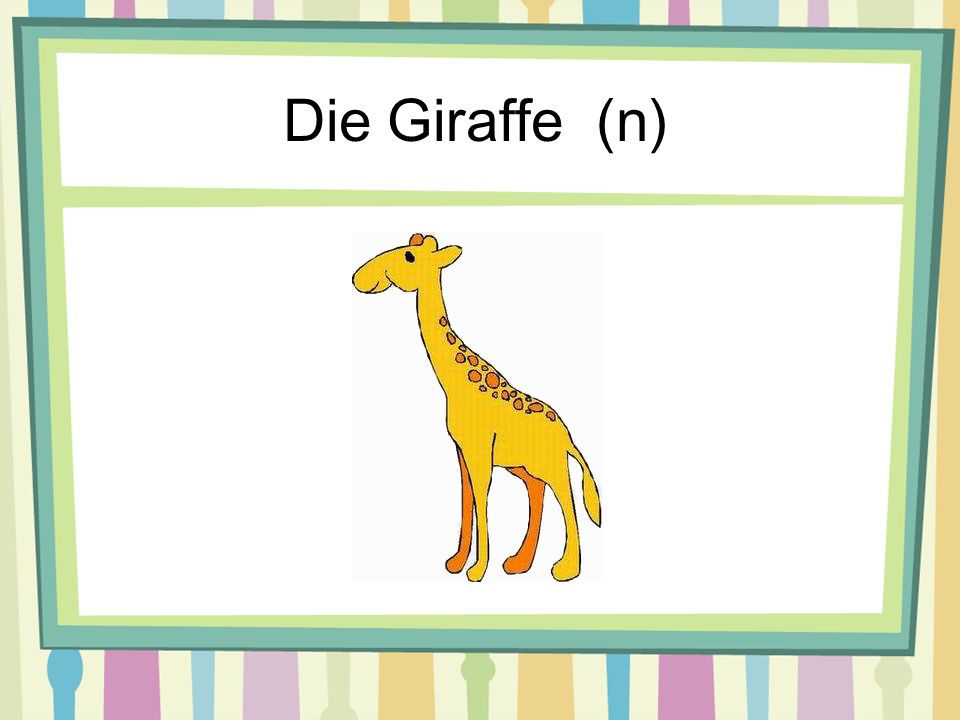 Die Giraffe (n)