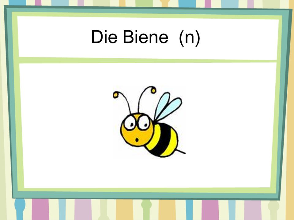 Die Biene (n)