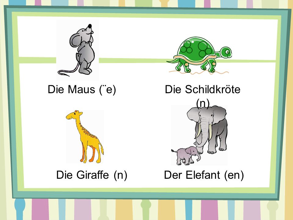Die Maus (¨e) Die Schildkröte (n) Die Giraffe (n) Der Elefant (en)