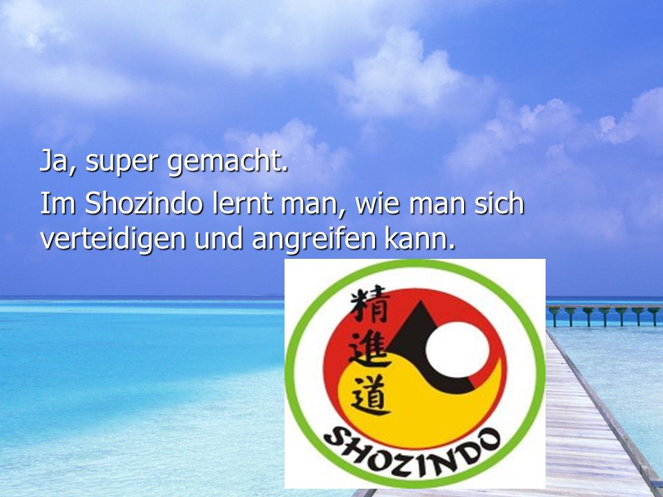 Ja, super gemacht. Im Shozindo lernt man, wie man sich verteidigen und angreifen kann.