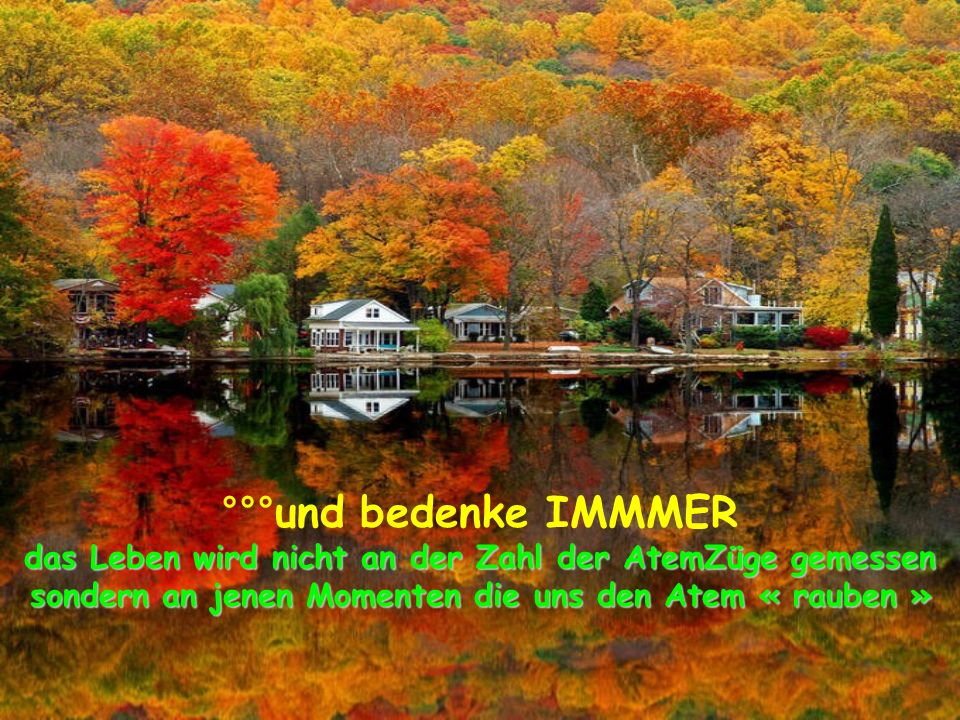 °°°und bedenke IMMMER das Leben wird nicht an der Zahl der AtemZüge gemessen sondern an jenen Momenten die uns den Atem « rauben »