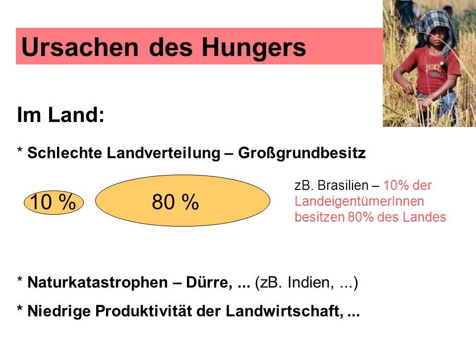 Ursachen des Hungers Im Land: * Schlechte Landverteilung – Großgrundbesitz. zB. Brasilien – 10% der LandeigentümerInnen besitzen 80% des Landes.